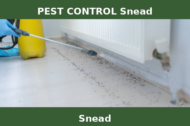 PEST CONTROL Snead